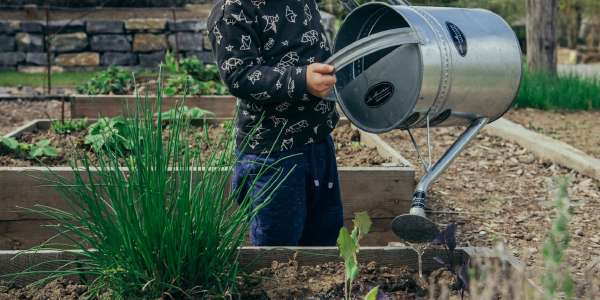 Creating a Deep Cultivation Bed: Plant Once, Never Dig Again